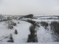 Smardale Viaduct